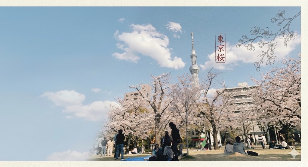 背景 - 袋我GO 日澳代購